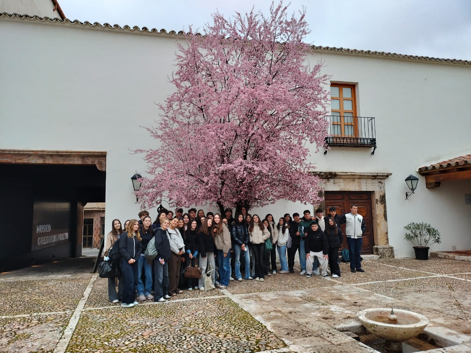 MovGrupoAlbi6